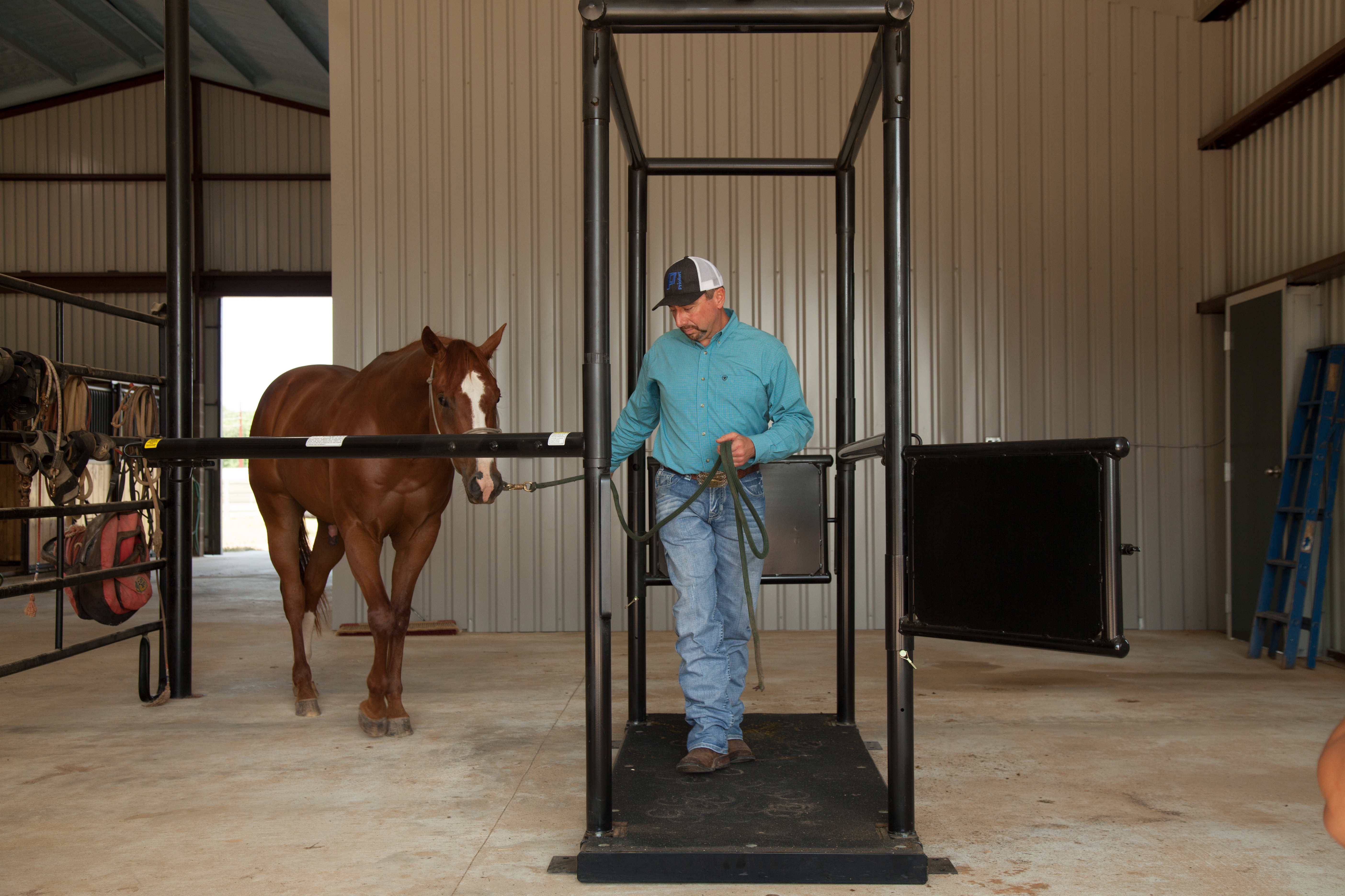 HS HorseStock Bynum 28.jpg